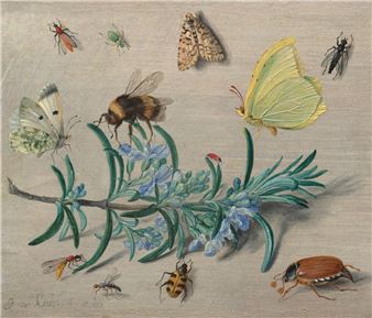 One Fine Show: ‘Little Beasts: Art, Wonder and the Natural World’ at the National Gallery of Art