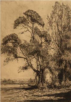 Susan Island, Clarence River - Helen Farmer