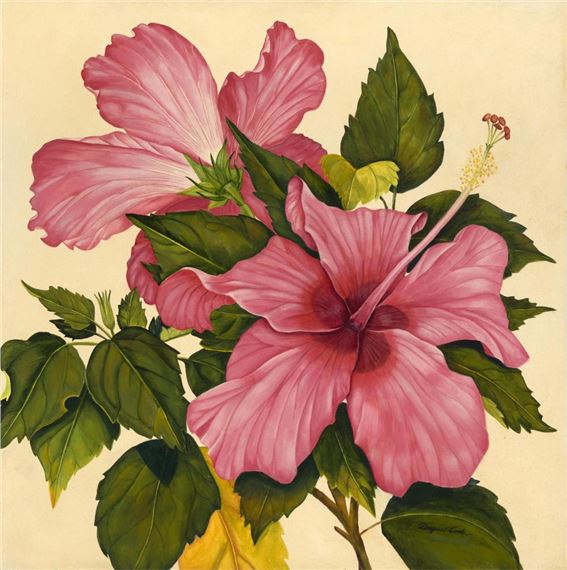 In The Pink by Dagmar Cook