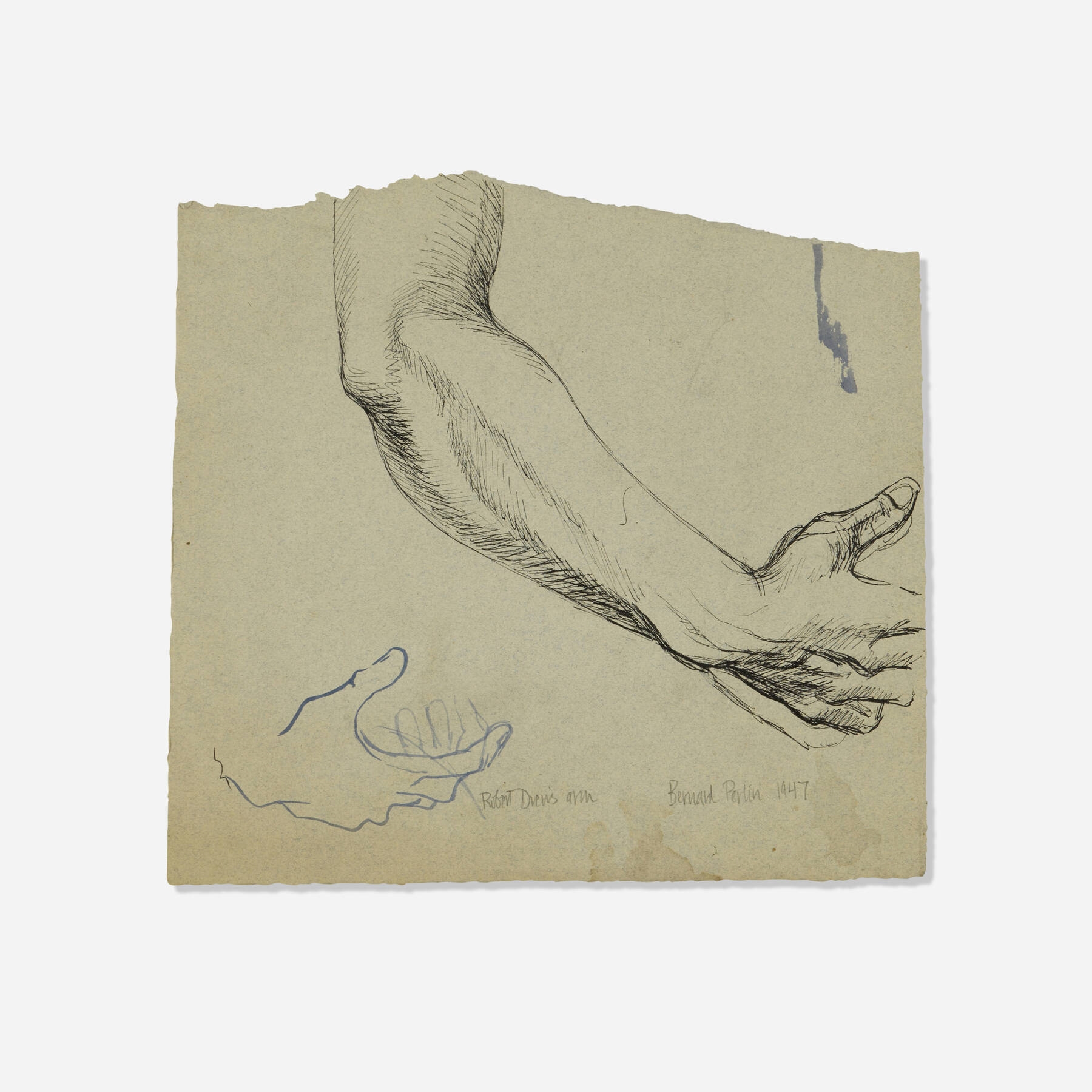 Artwork by Bernard Perlin, Robert Drew's Arm, Made of ink on paper