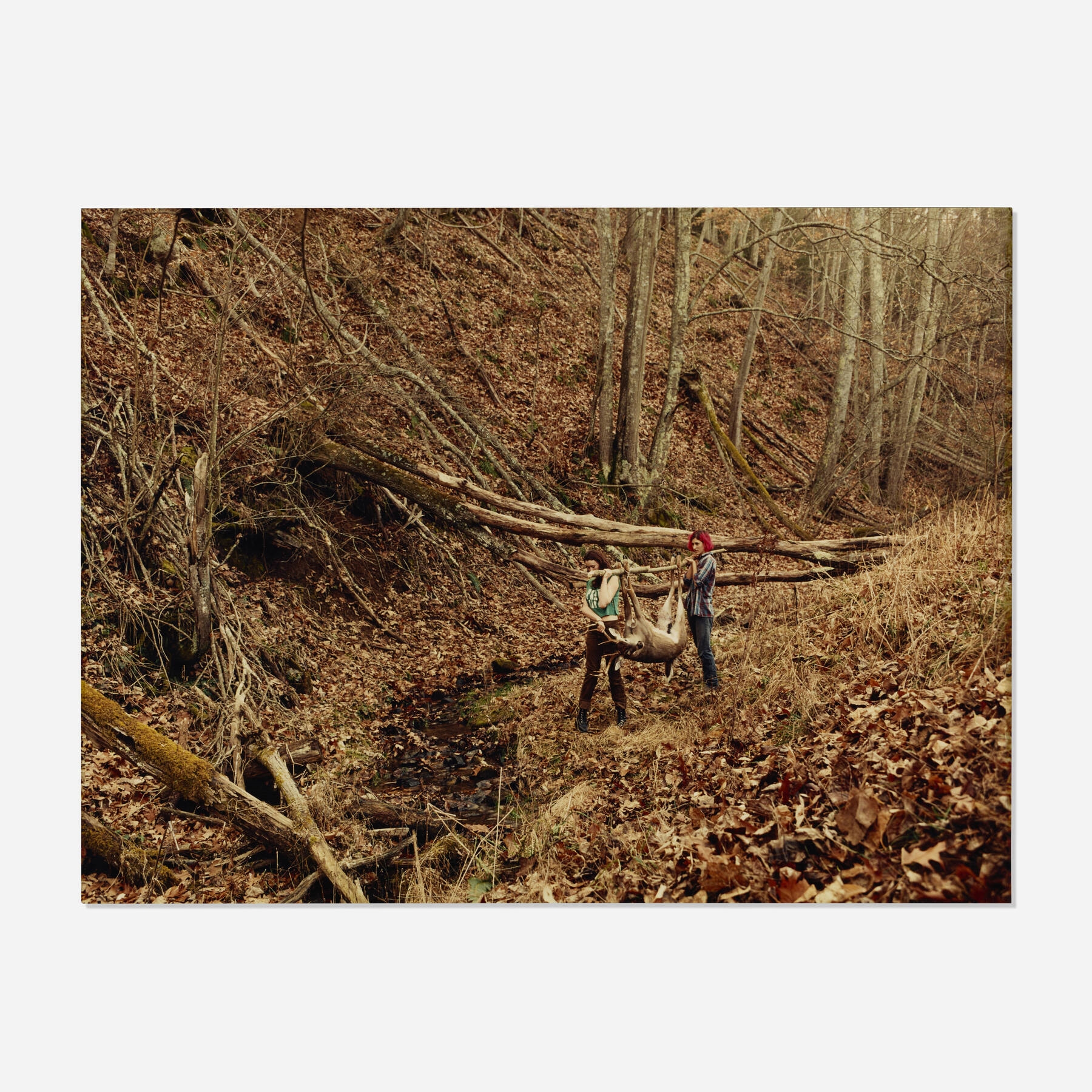Artwork by Justine Kurland, 12 Point Buck, Made of C-print mounted to aluminum
