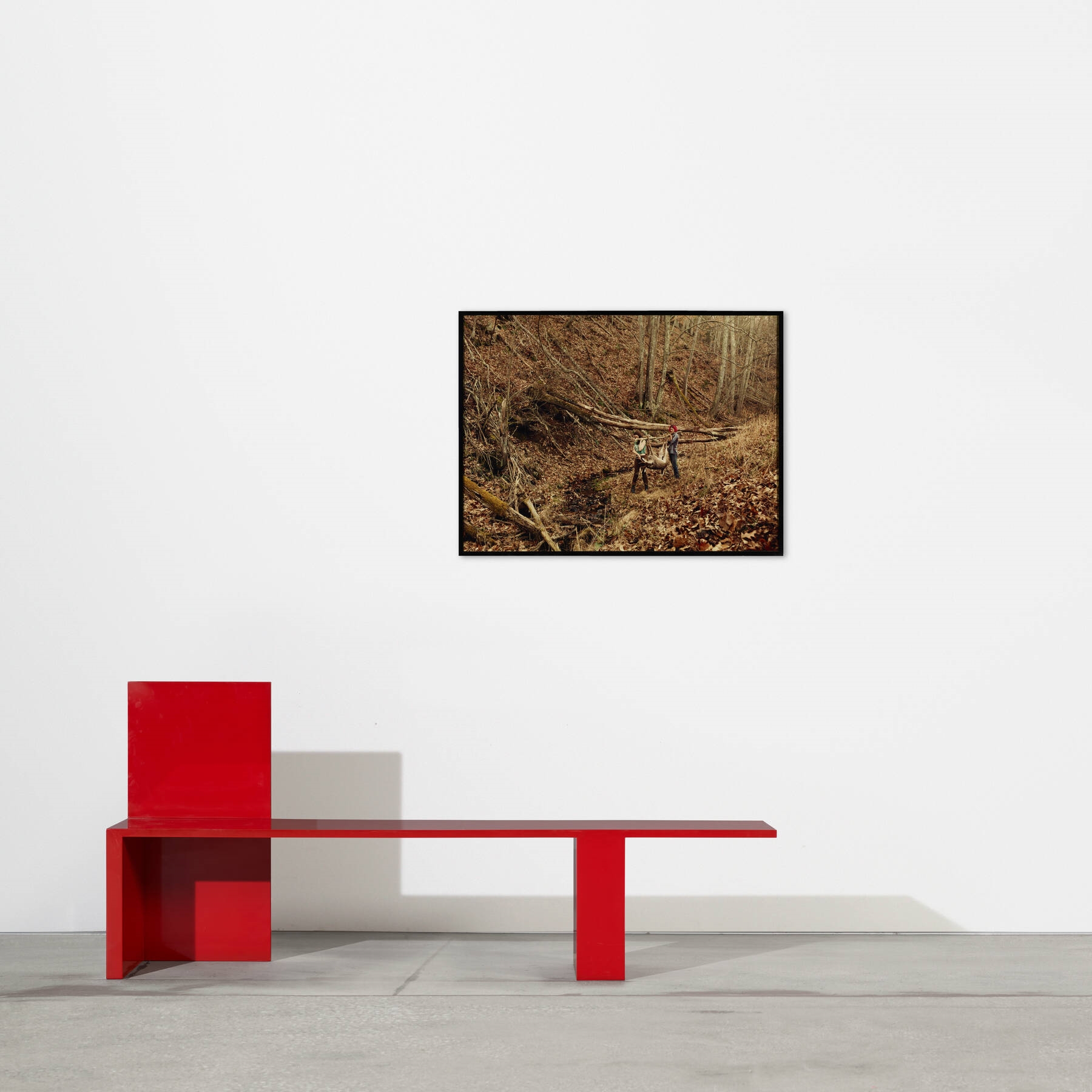 Artwork by Justine Kurland, 12 Point Buck, Made of C-print mounted to aluminum