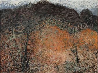 Birds in the Flinders - James Cant