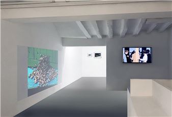 Zoom: Projection IV: the fauna and the flora - Galerie Dohyang Lee