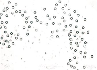 Bubliny, 2007 - Jan Mericka