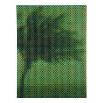 Irma Watched Over by Machines
2020
acrylic on canvas
33 1/2 x 25in (85 x 63.5cm - Troika