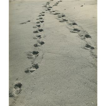 E os caminhos se cruzam - Asterio Rocha