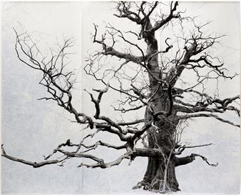 Tacita Dean: Blind Folly - Columbus Museum of Art, Ohio