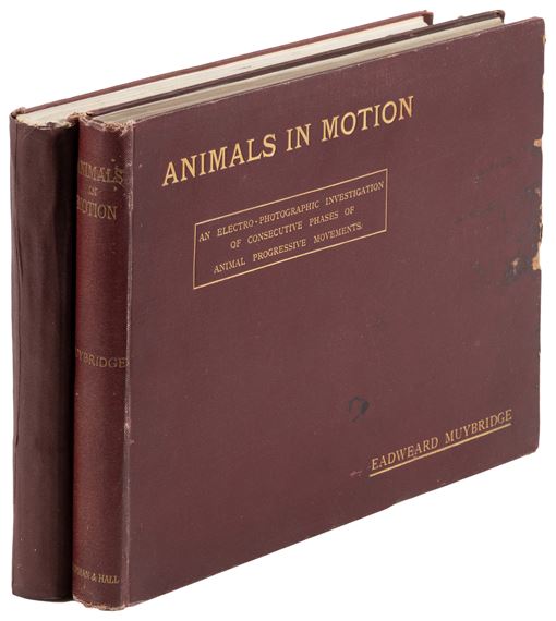 Eadweard Muybridge | Animals in Motion [with] The Human Figure in ...