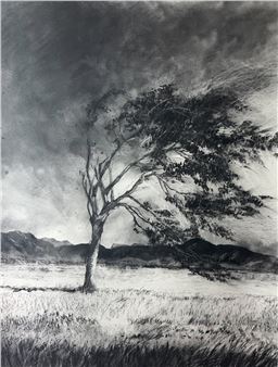 Stefan Raubenheimer: Remember This Land - Association for Visual Arts Gallery