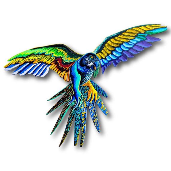 Macaw by Patricia Govezensky