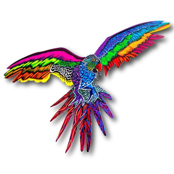 Macaw by Patricia Govezensky