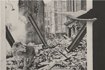 João Vilhena: Predizione Perdizione