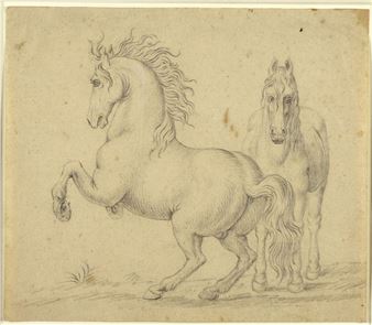 Studie von zwei Pferden - Johann Georg Pforr