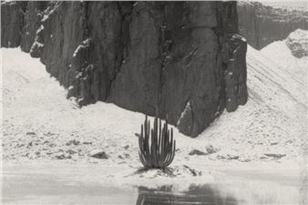 Troika: Deception Island - Max Goelitz, Munich