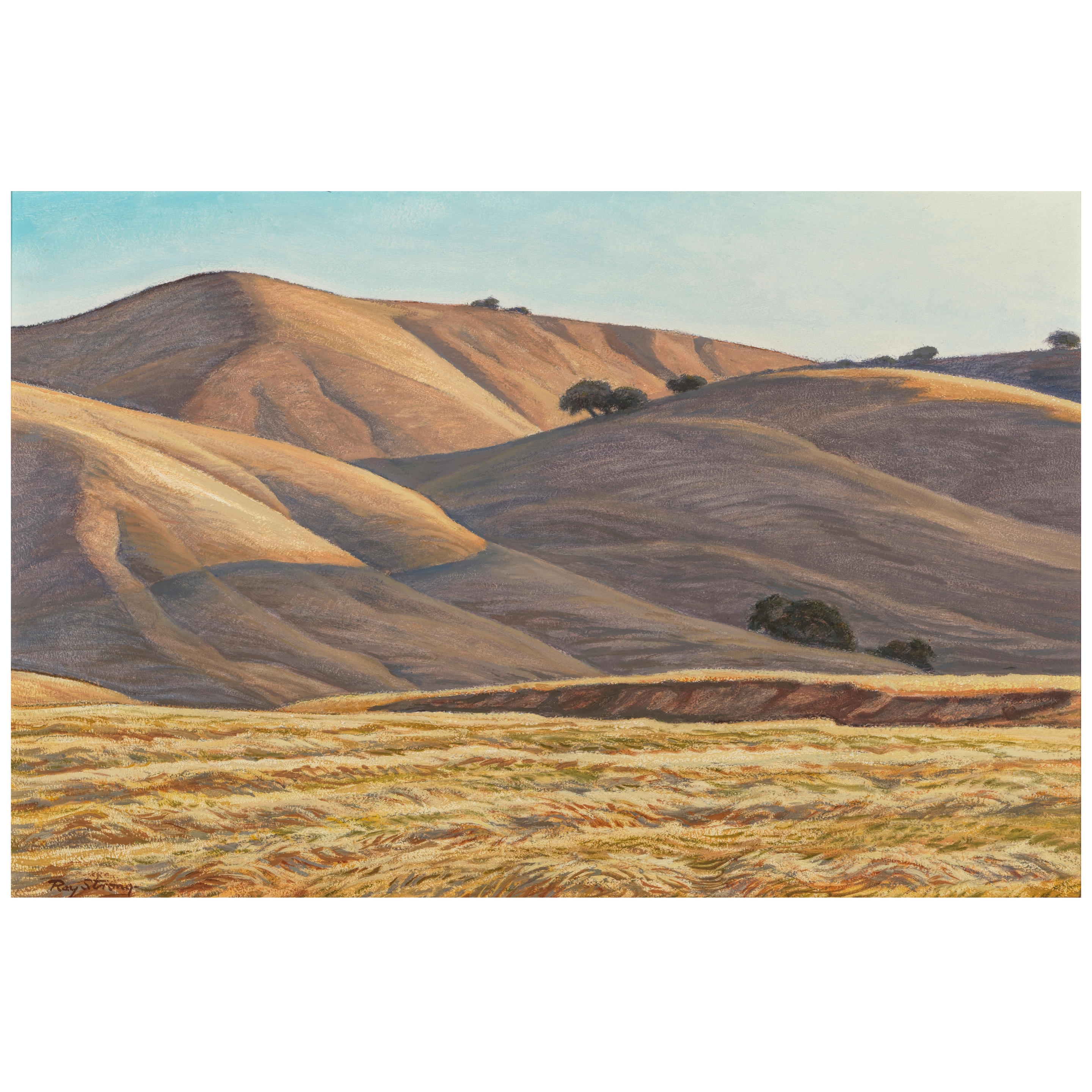 Ray Stanford Strong | Golden Hillside | MutualArt