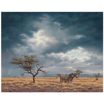 Storm at Serengeti - Robert Macintosh