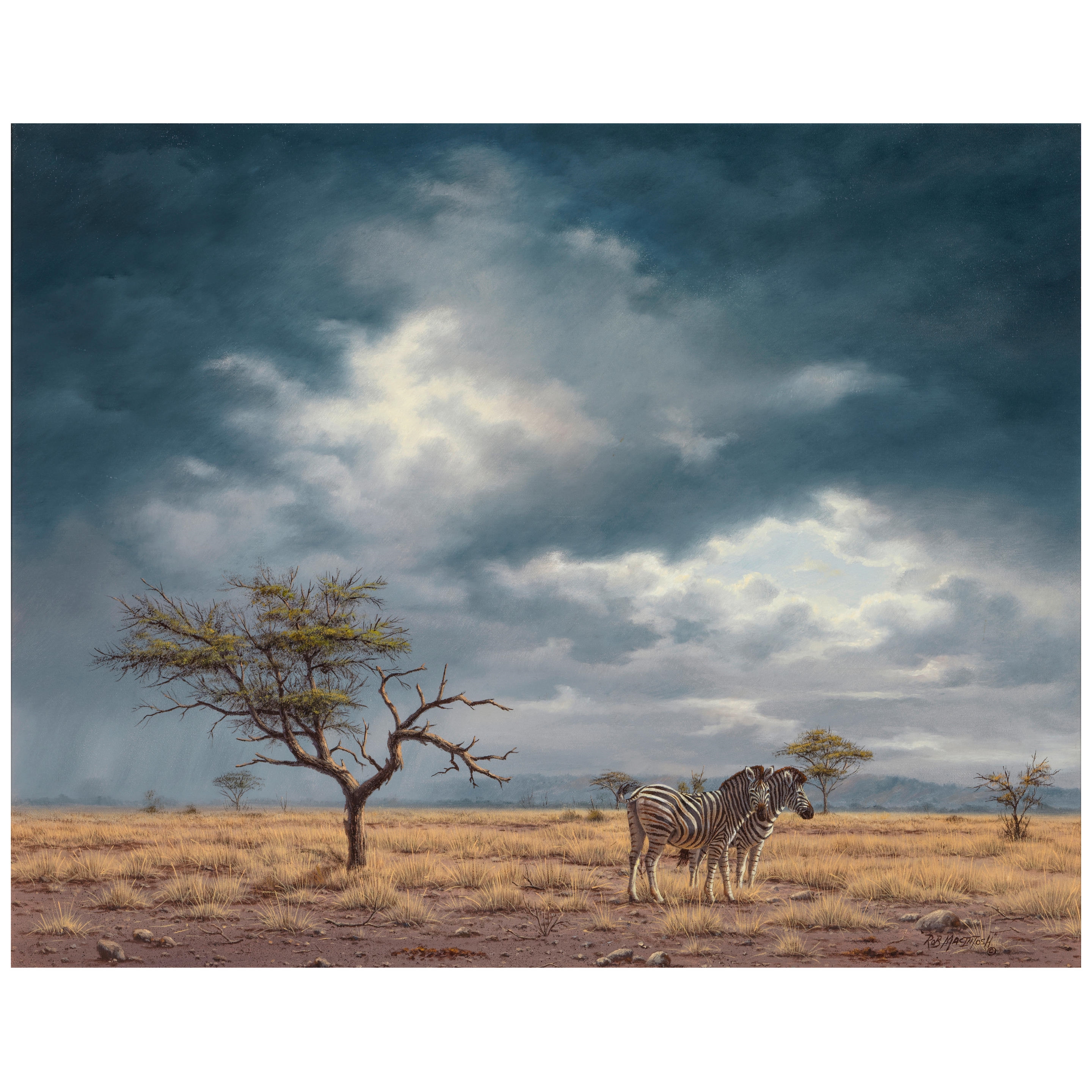 Artwork by Robert Macintosh, Storm at Serengeti, Made of oil on canvas