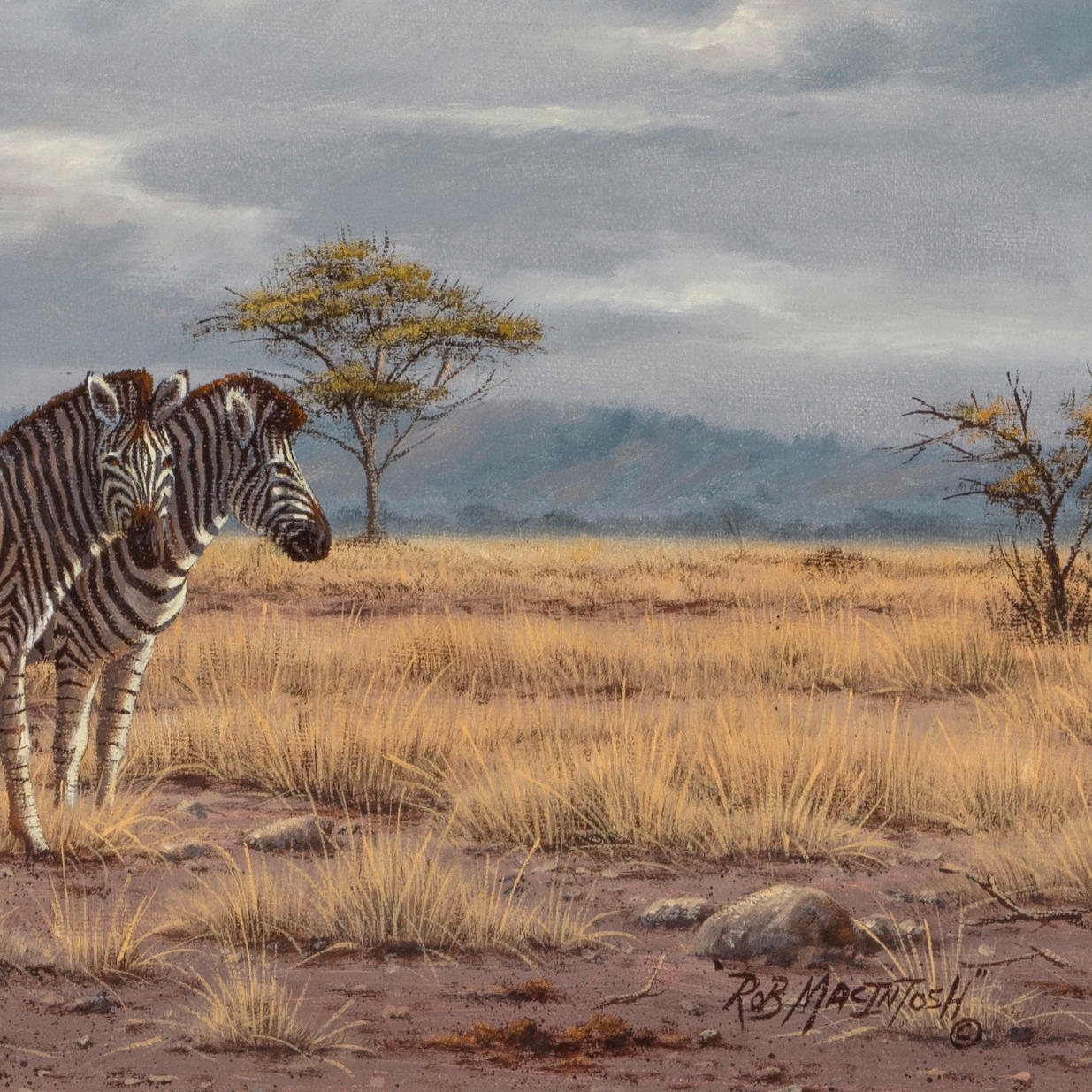 Artwork by Robert Macintosh, Storm at Serengeti, Made of oil on canvas