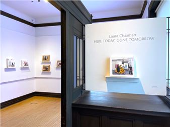 Laura Chasman: Here Today, Gone Tomorrow - Brattleboro Museum & Art Center