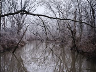 Edgar Cardenas: Meanwhile in Detroit - Silver Eye Center for Photography