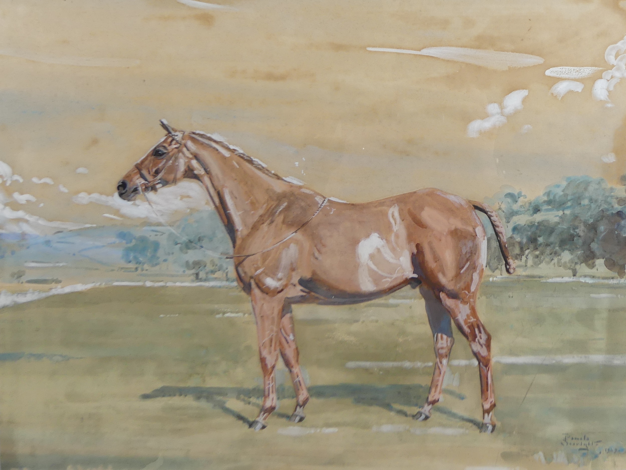 Artwork by Patricia Searight, Aquilo, Made of watercolour heightened with white