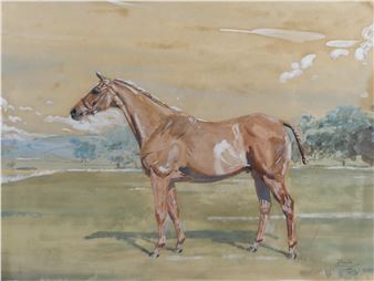 Aquilo - Patricia Searight