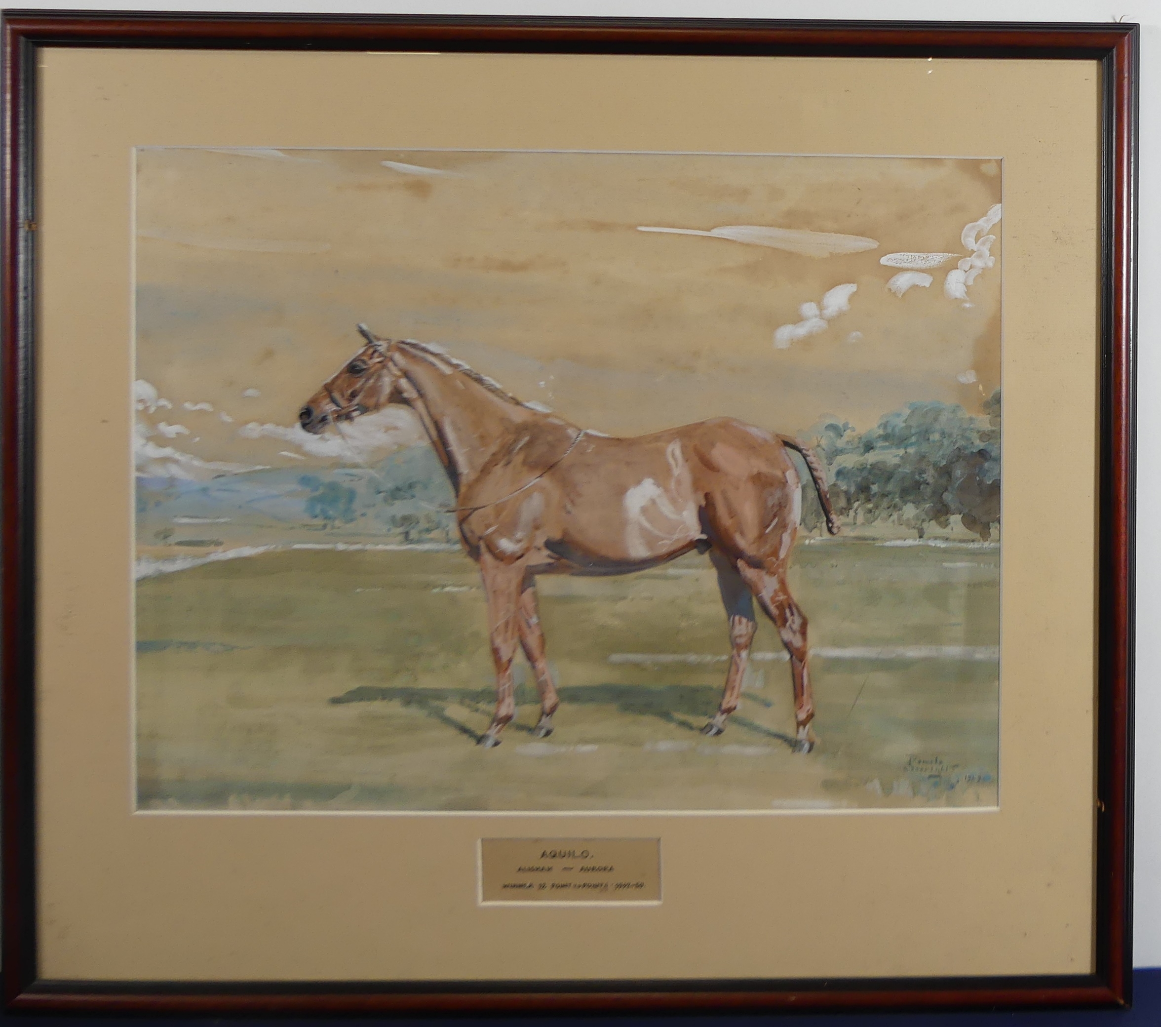 Artwork by Patricia Searight, Aquilo, Made of watercolour heightened with white