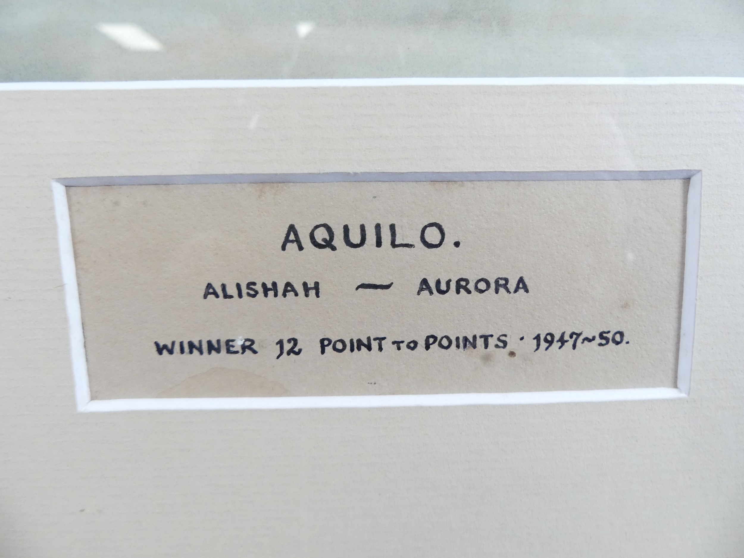 Artwork by Patricia Searight, Aquilo, Made of watercolour heightened with white