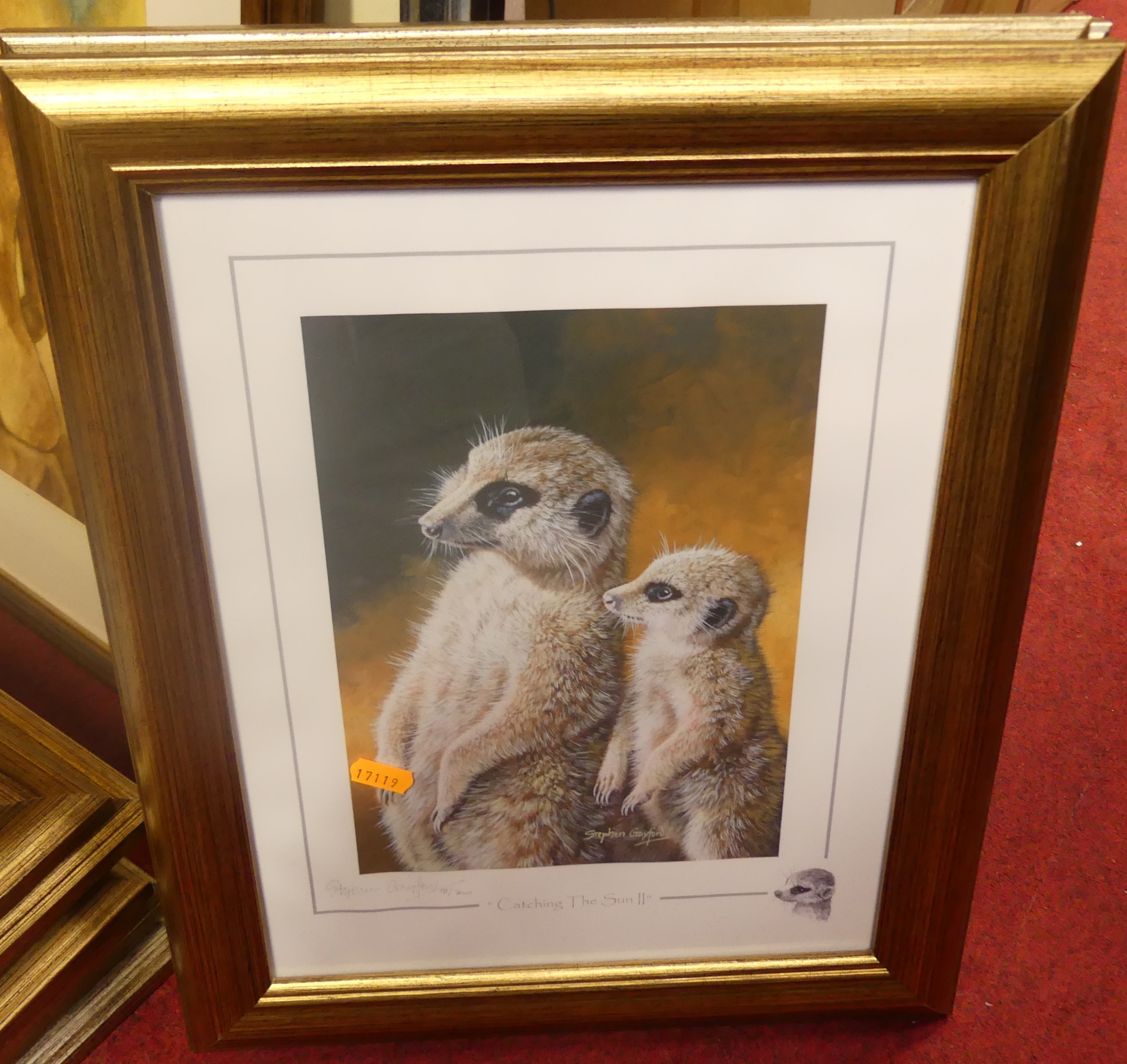 Stephen Crawford | set of 10 limited edition wildlife prints | MutualArt