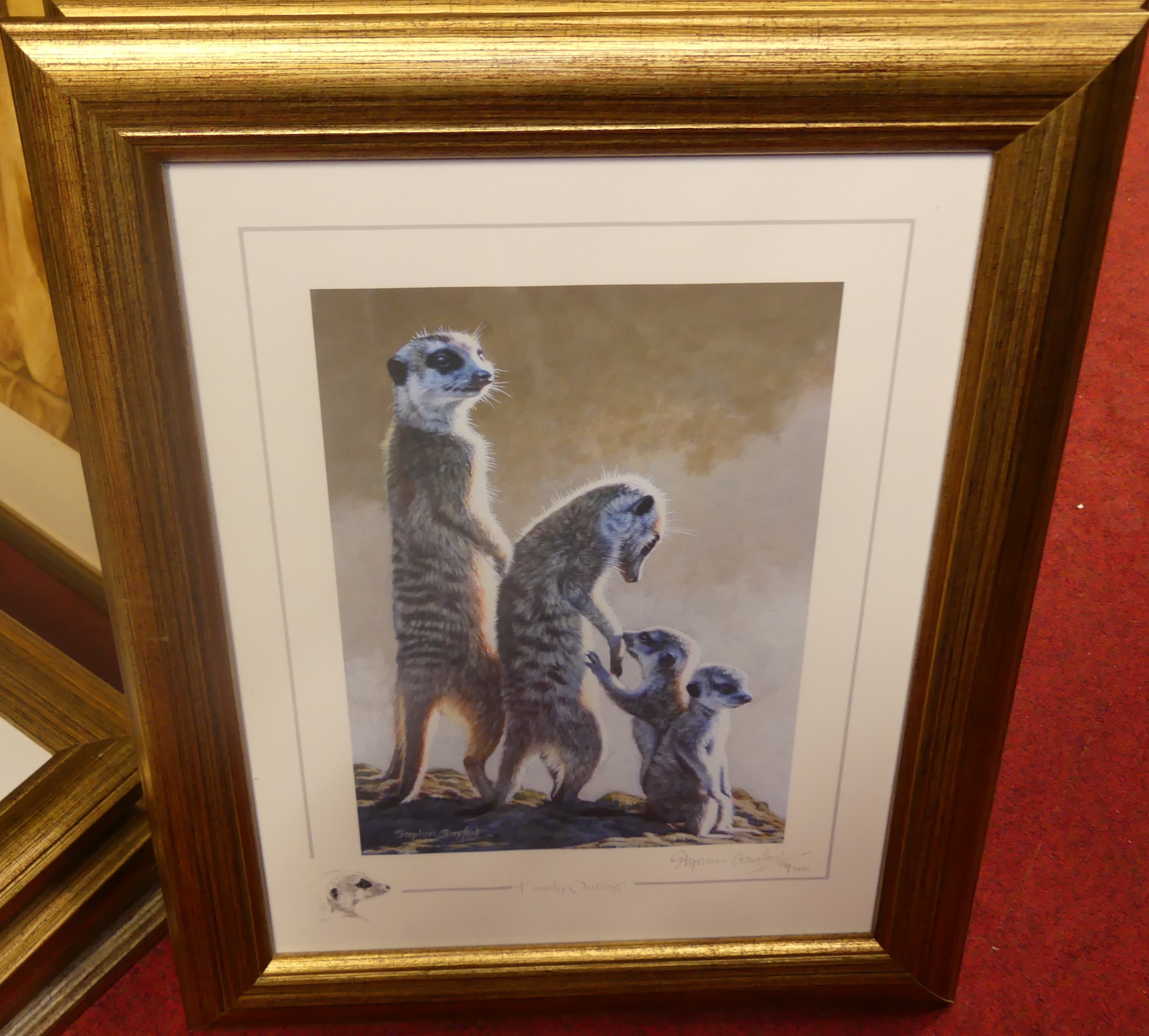Stephen Crawford | set of 10 limited edition wildlife prints | MutualArt