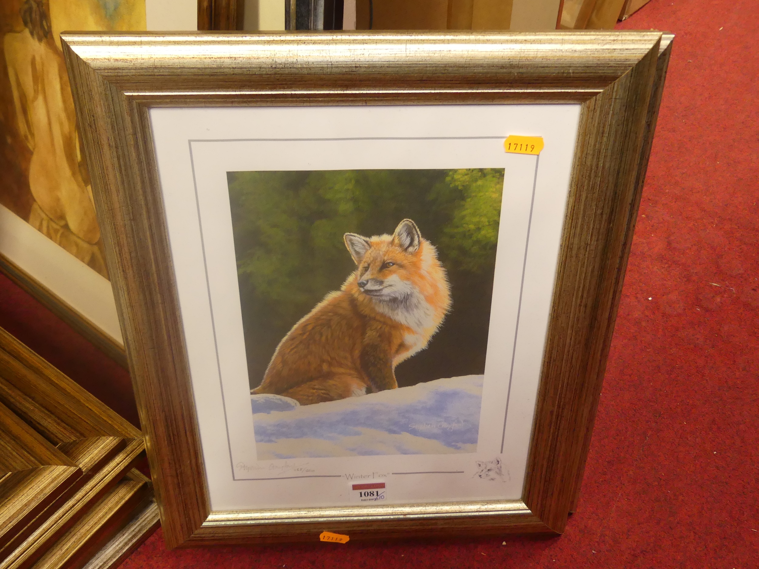 Stephen Crawford | set of 10 limited edition wildlife prints | MutualArt