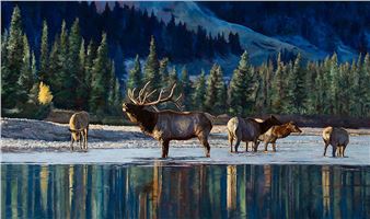 Call of the Wild - Linda Besse