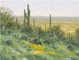 Spring in the Foothills - Matt Read Smith