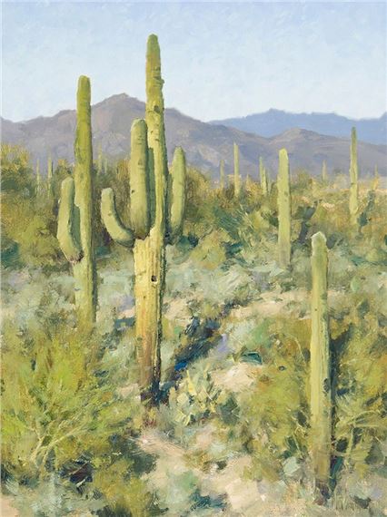 Tonte Verde Garden by Matt Read Smith, 2007