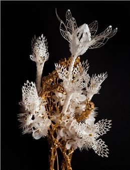 Casey Curran: Tidal Sky - SMoCA, Scottsdale Museum of Contemporary Art