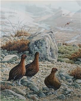 Framed gouache of grouse - Simon Barlow (south African)