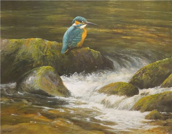 Study of a kingfisher beside a waterfall by Neil Cox