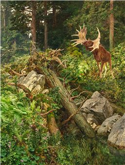 Elch im Windbruch - Leopold Rothaug