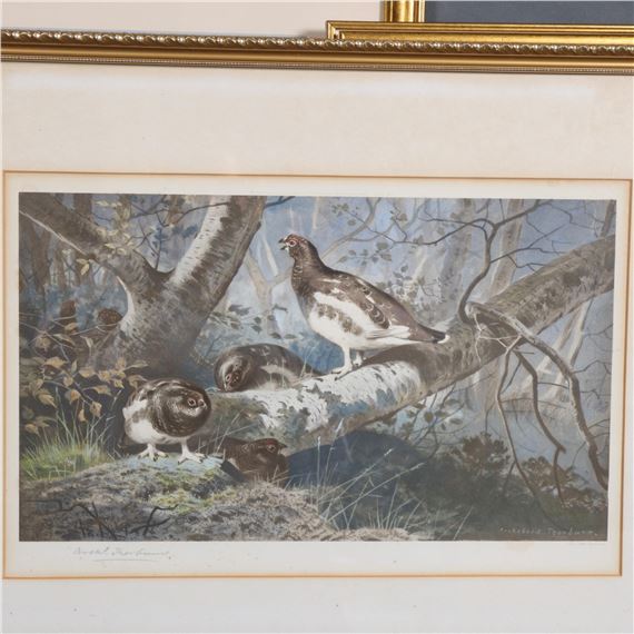 Archibald Thorburn | ptarmigan | MutualArt