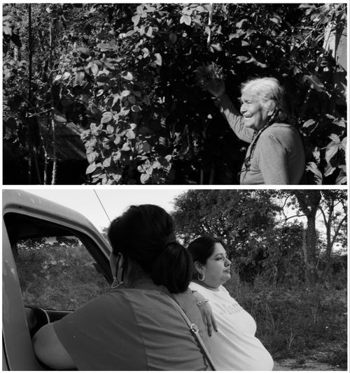 Herencia Viviente: Living Inheritance - Transmitter