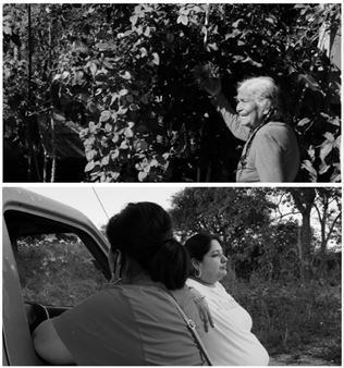 Herencia Viviente: Living Inheritance - Transmitter