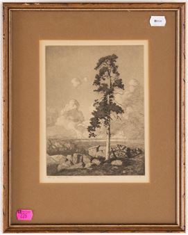 Solitary Pine - George Burr