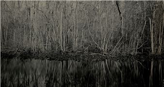 Matt Keene: Echoes of the Wild - Lightner Museum