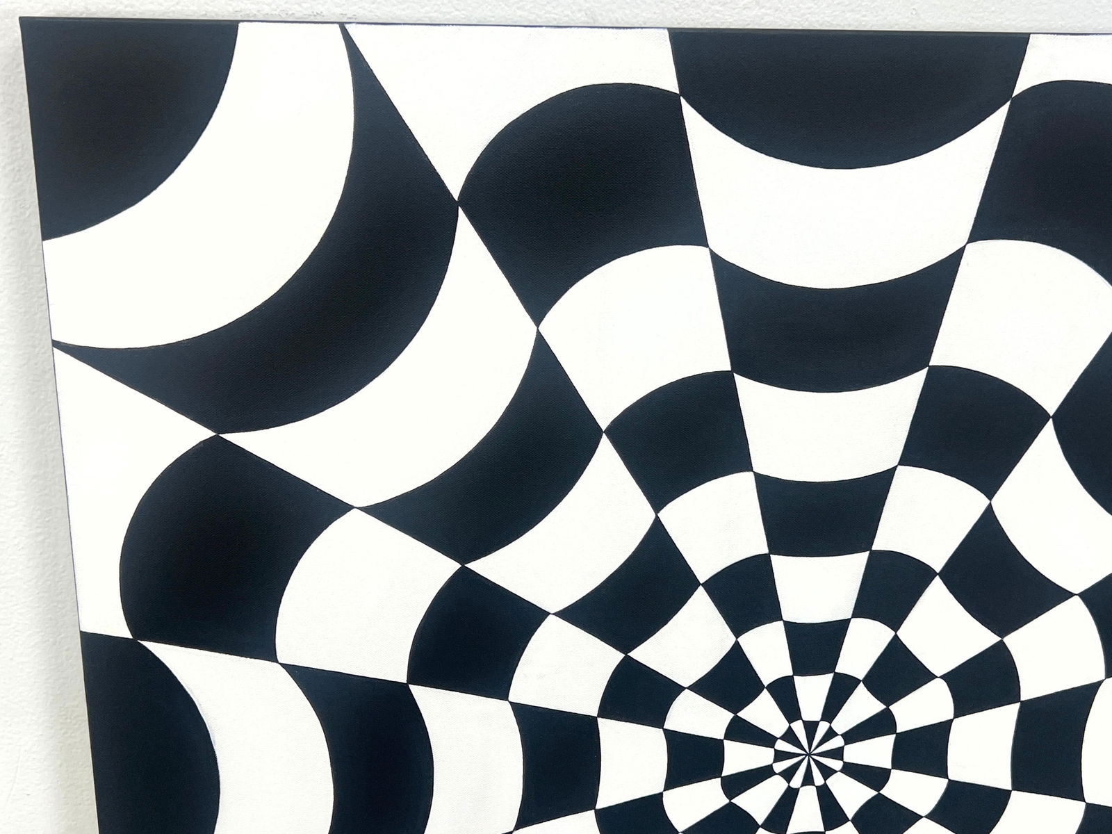 Tim Ray Fisher | Black and White Rippling Spider Web | MutualArt