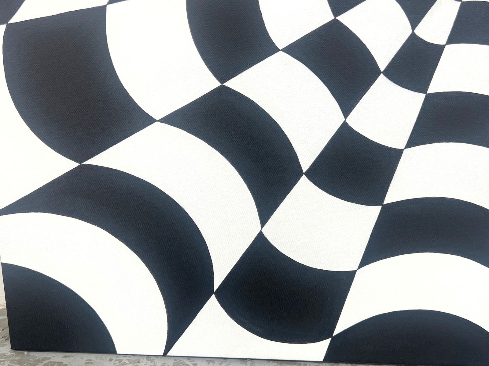 Tim Ray Fisher | Black and White Rippling Spider Web | MutualArt