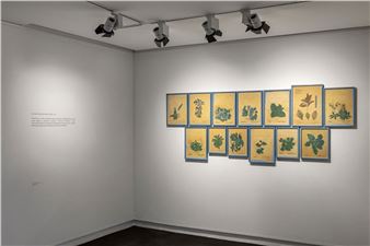 Rashmimala: How We Breath - Gallery Espace