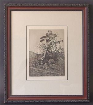 Old Pine Near Timberline - George Elbert Burr
