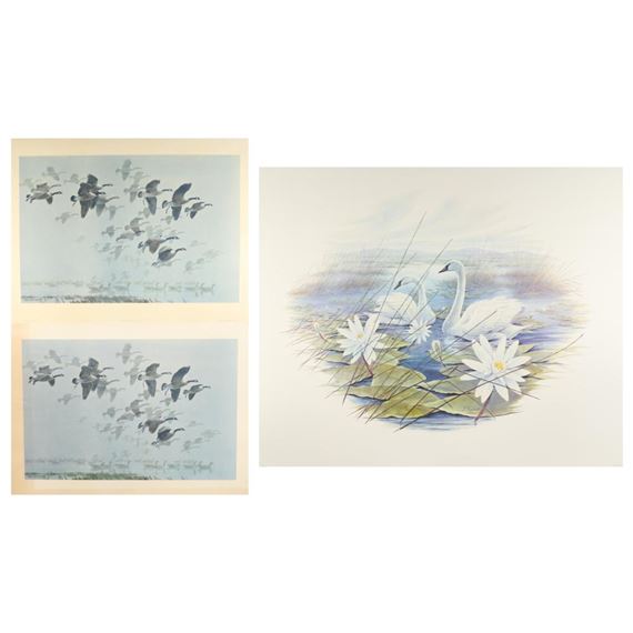 Peter Scott | Canada Geese Arriving out of a Mist | MutualArt
