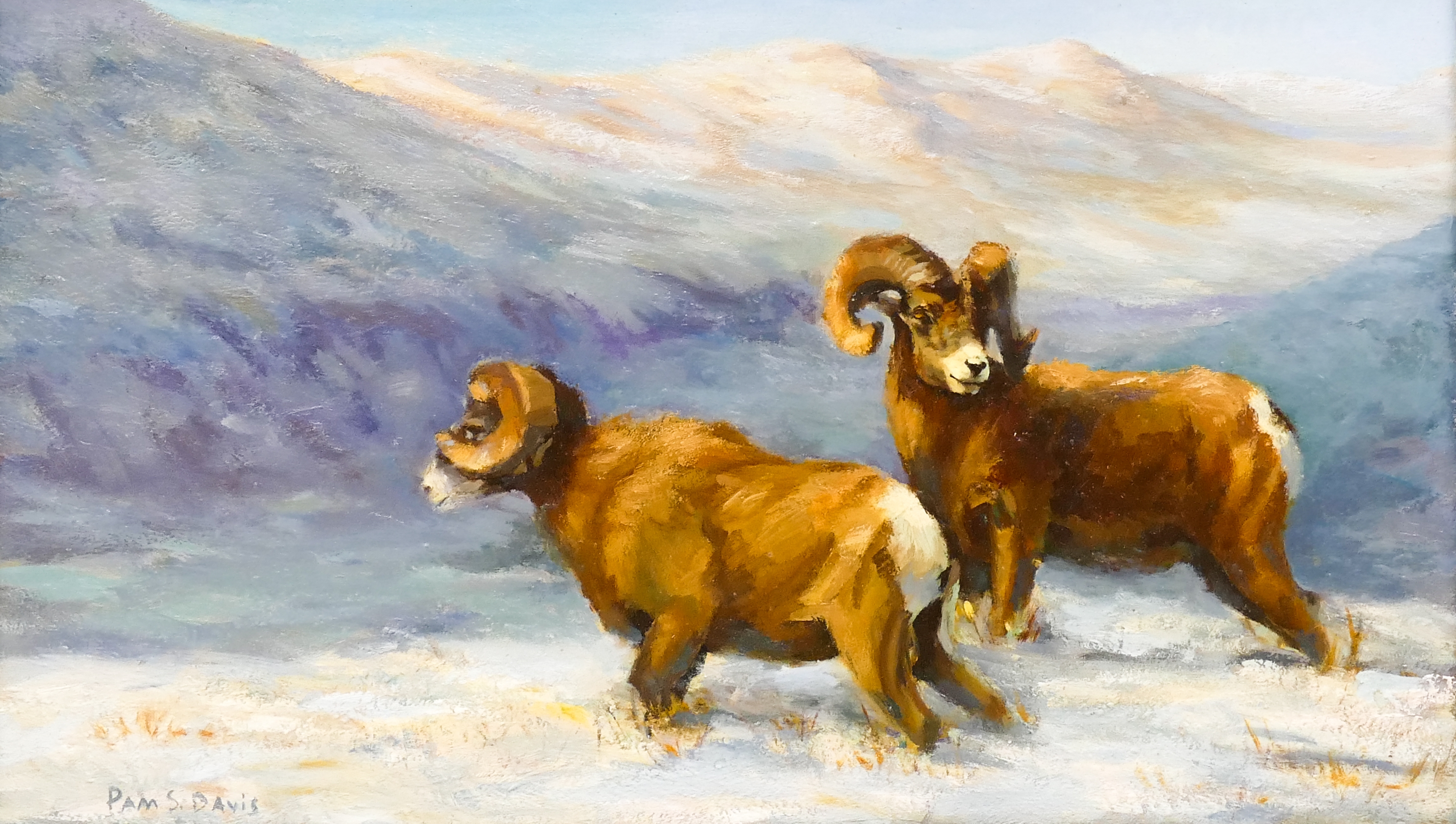Pam S Davis (american 20th/21st Cent) | Rams | MutualArt